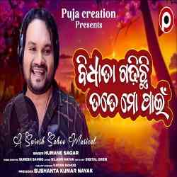 Bidhata Gadhichhi Tate Mo Pai